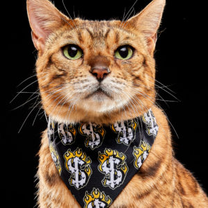Bandana Calaveras y Signos de Pesos