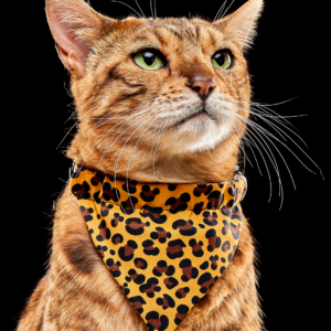 Bandana Leopardo y Cebra