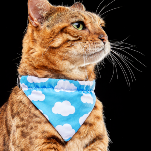 Bandana Vaquita y Nubes