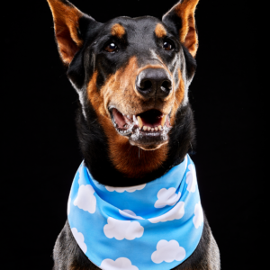Bandana Vaquita y Nubes