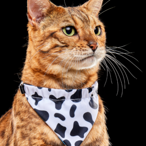 Bandana Vaquita y Nubes