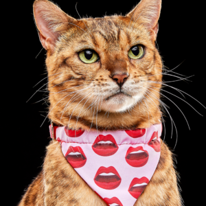 Bandana Besos y Corazones