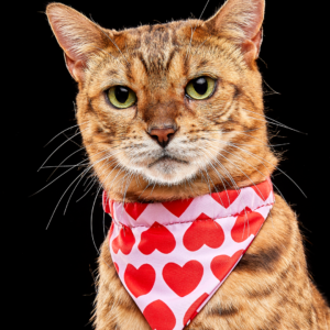 Bandana Besos y Corazones
