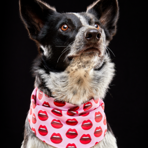 Bandana Besos y Corazones
